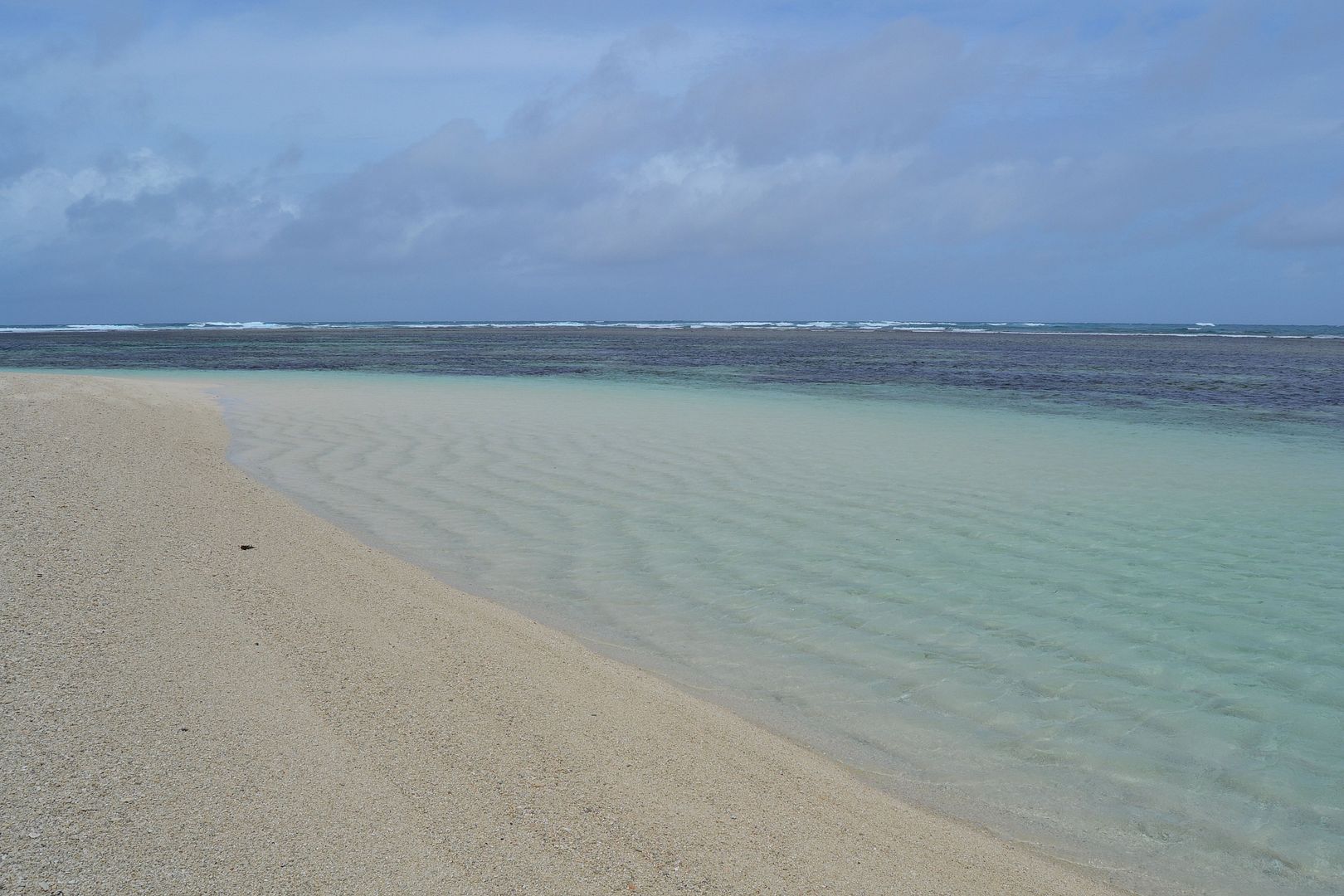 DSC_0296.jpg
