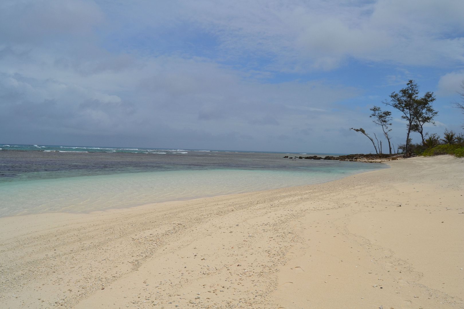 DSC_0308.jpg