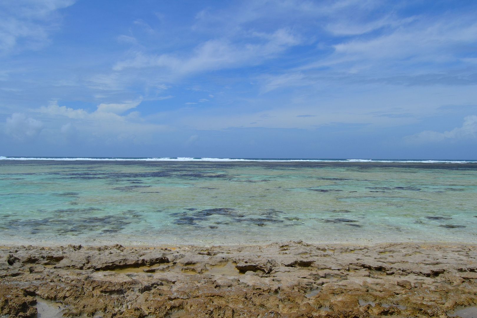 DSC_0312.jpg