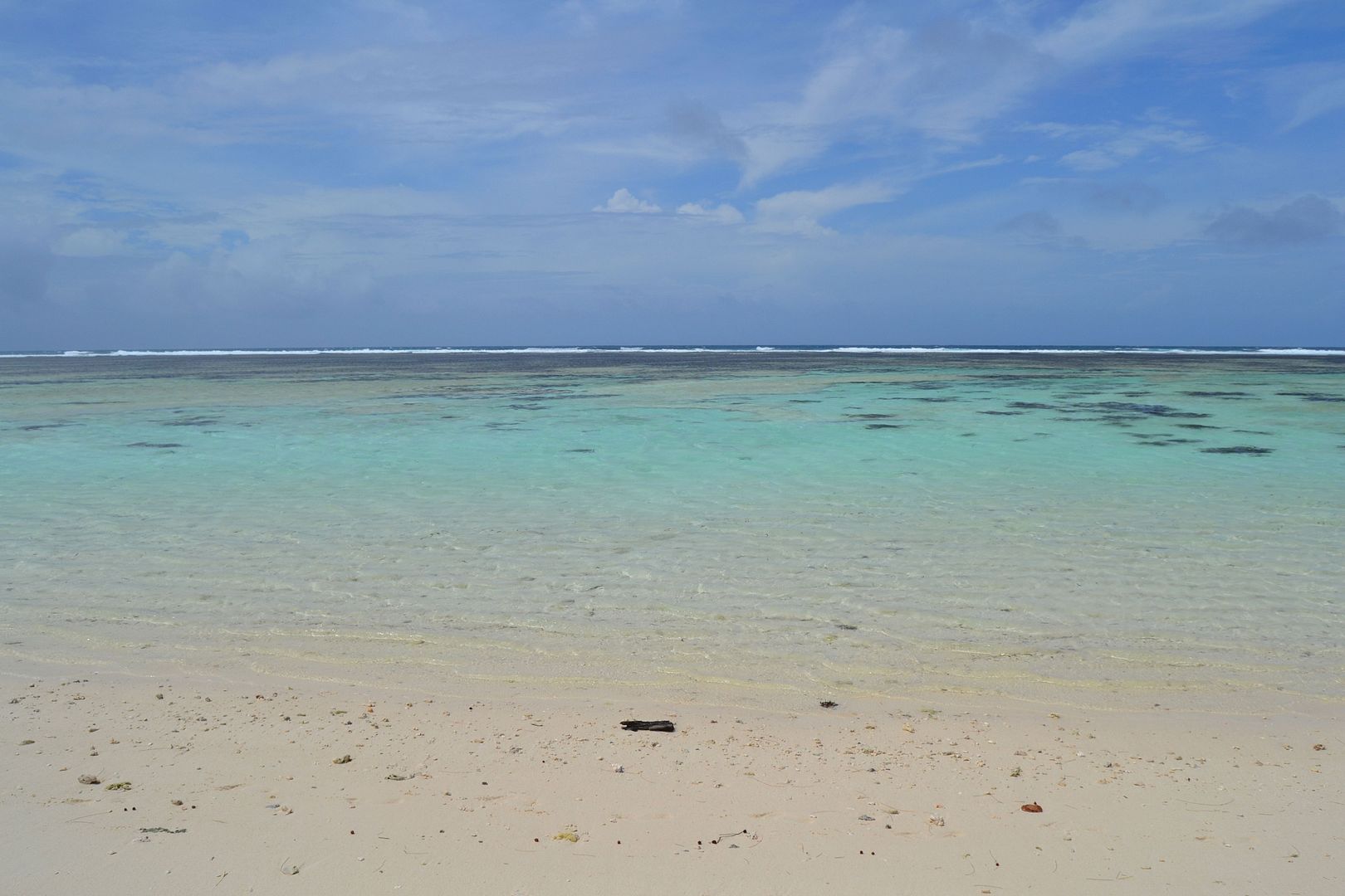 DSC_0316.jpg