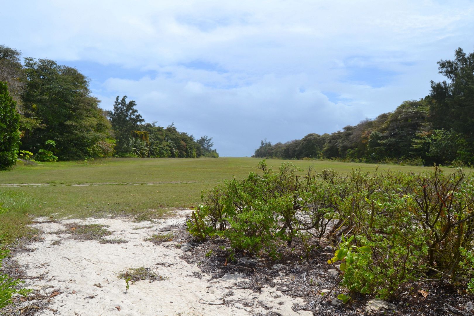 DSC_0320.jpg