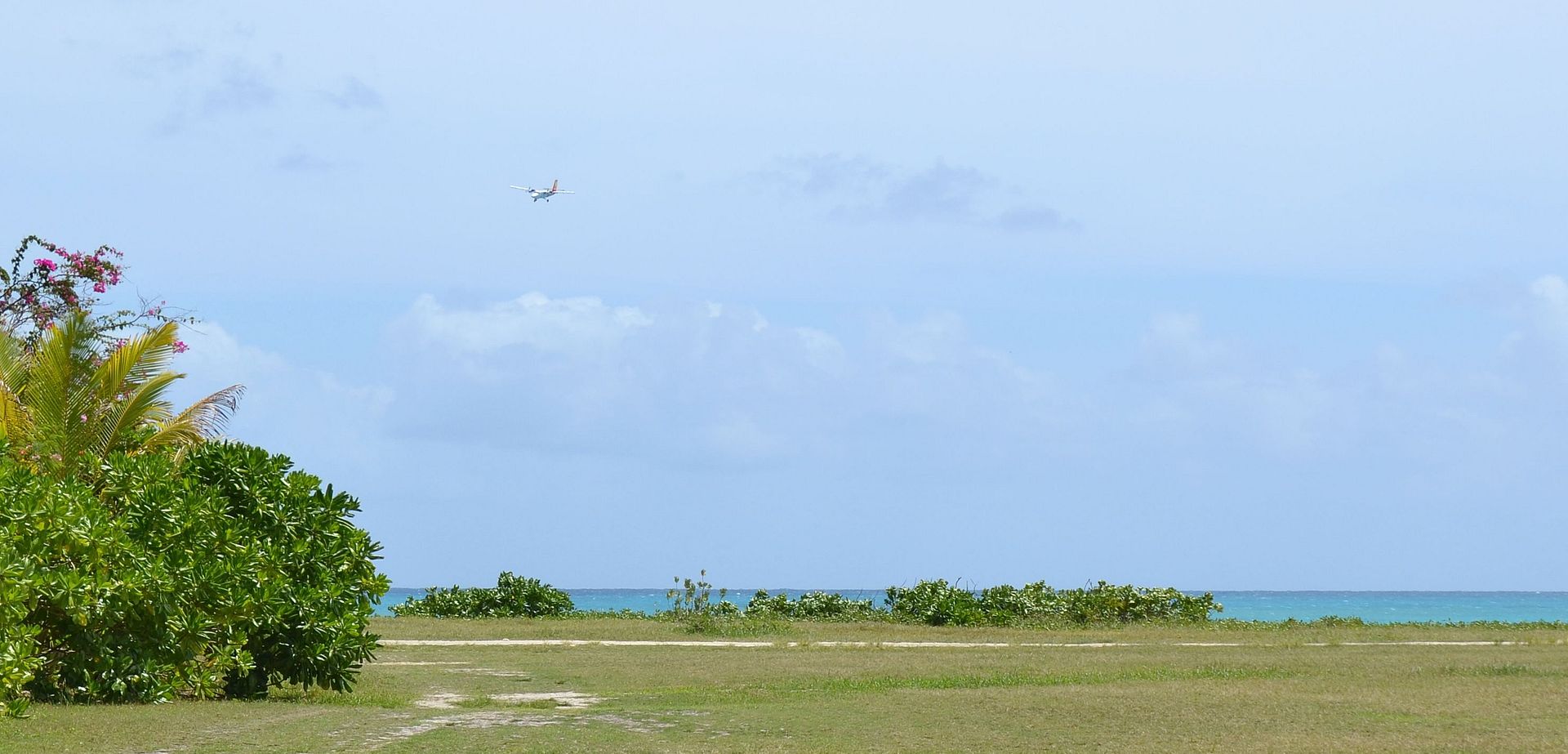 DSC_0362.jpg