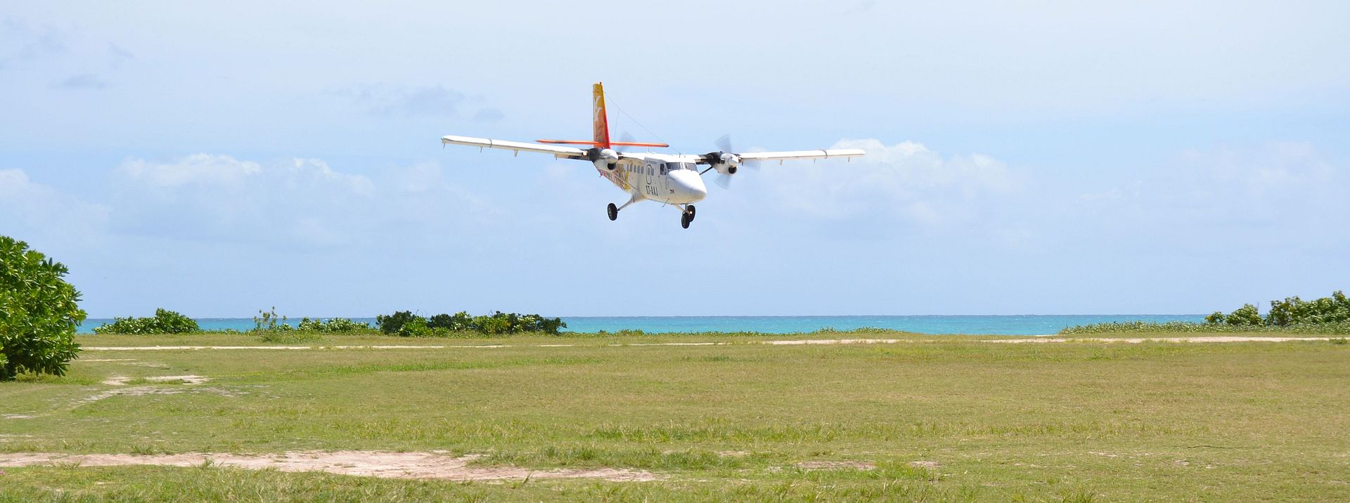 DSC_0367.jpg