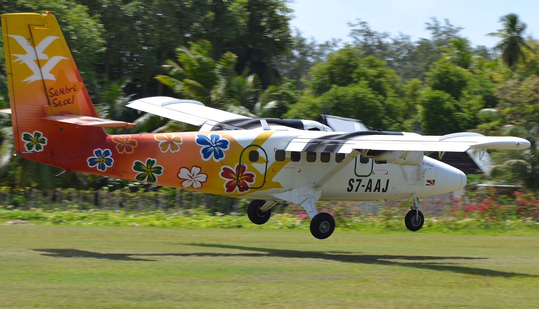 DSC_0372.jpg