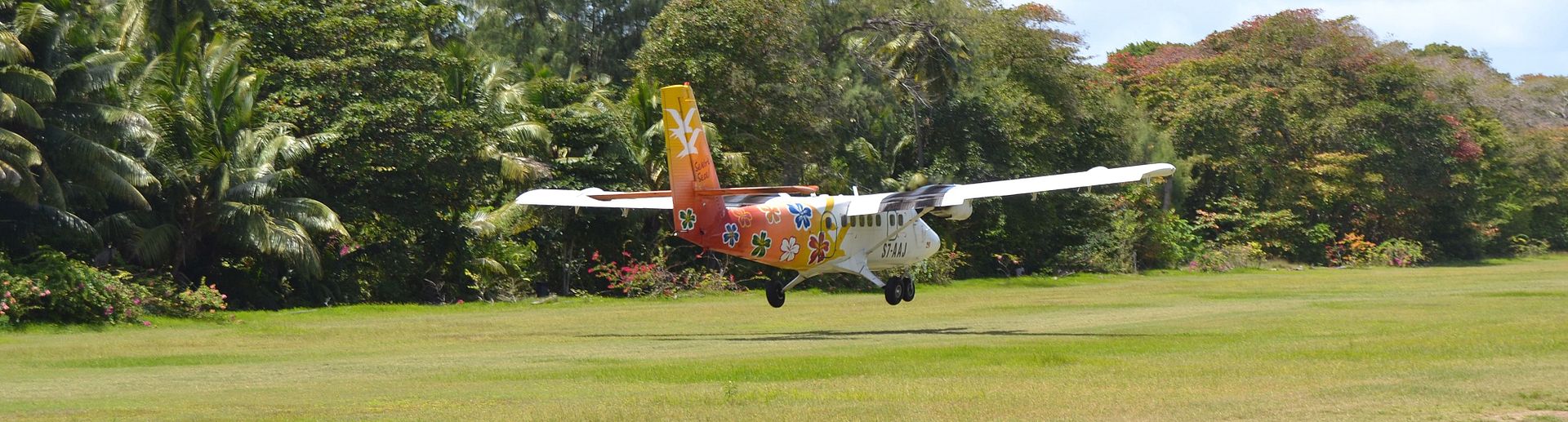 DSC_0375.jpg