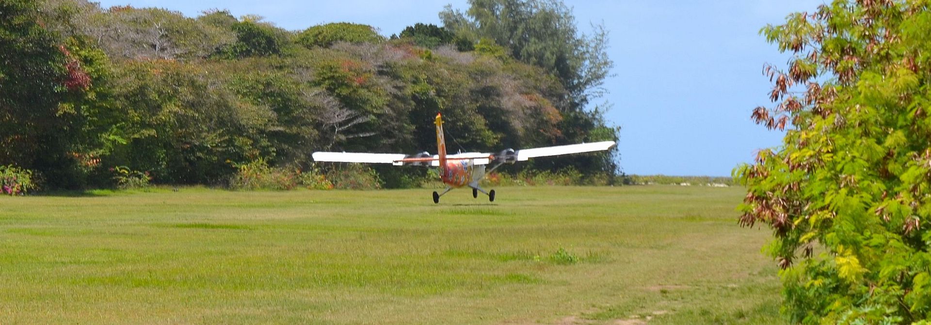 DSC_0379.jpg