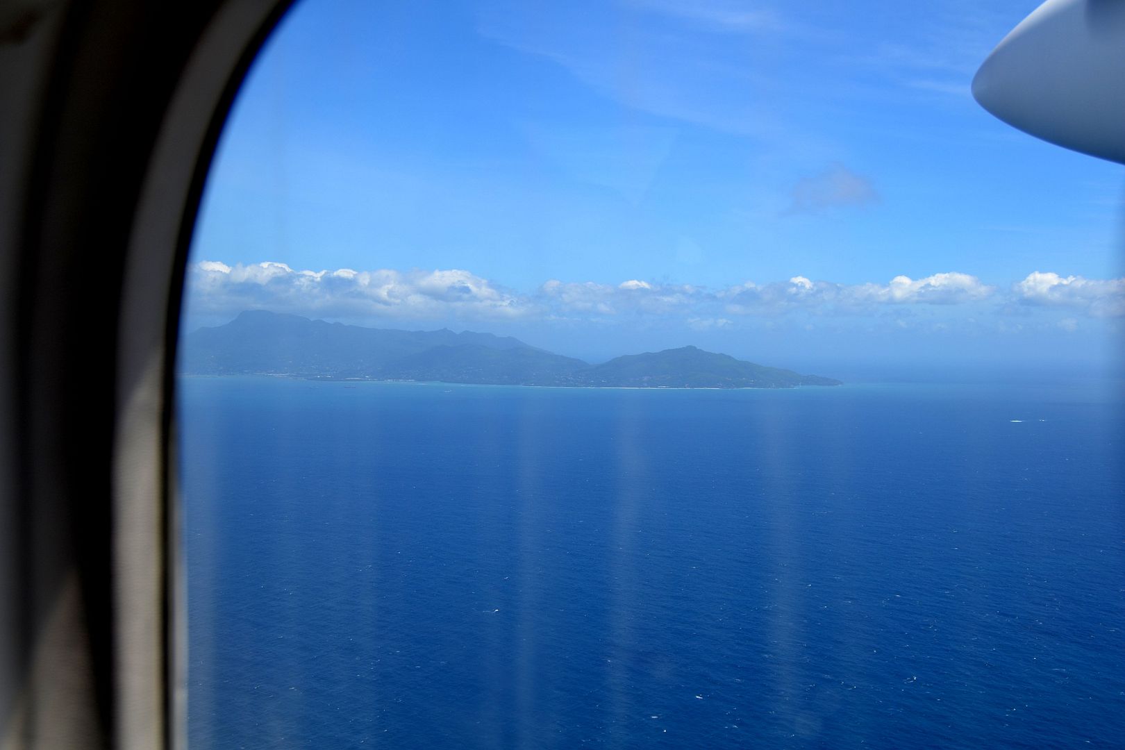 DSC_0446.jpg