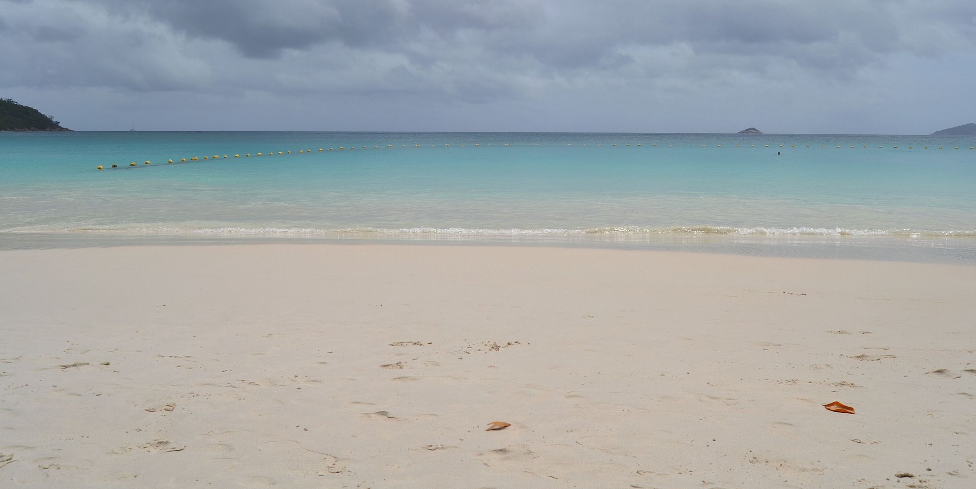 DSC_0532.jpg