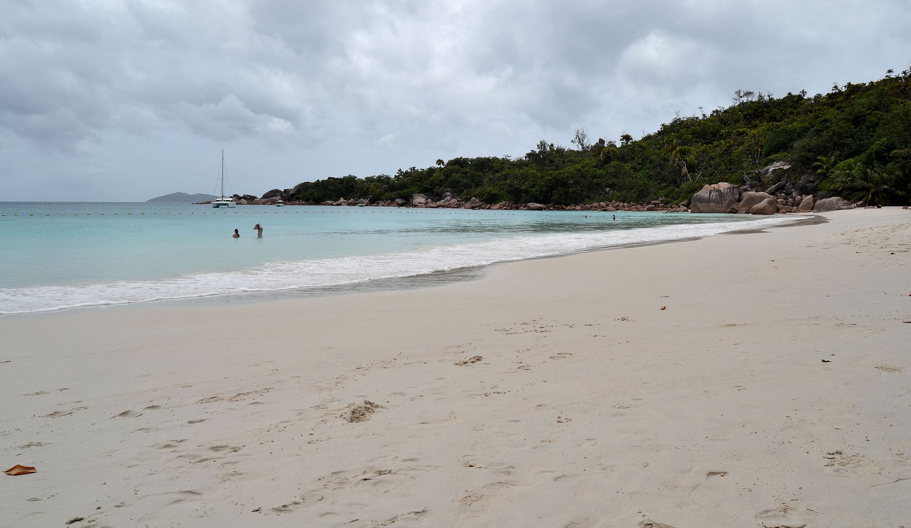 DSC_0534.jpg