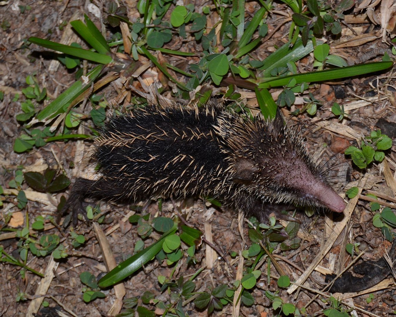 DSC_0545.jpg