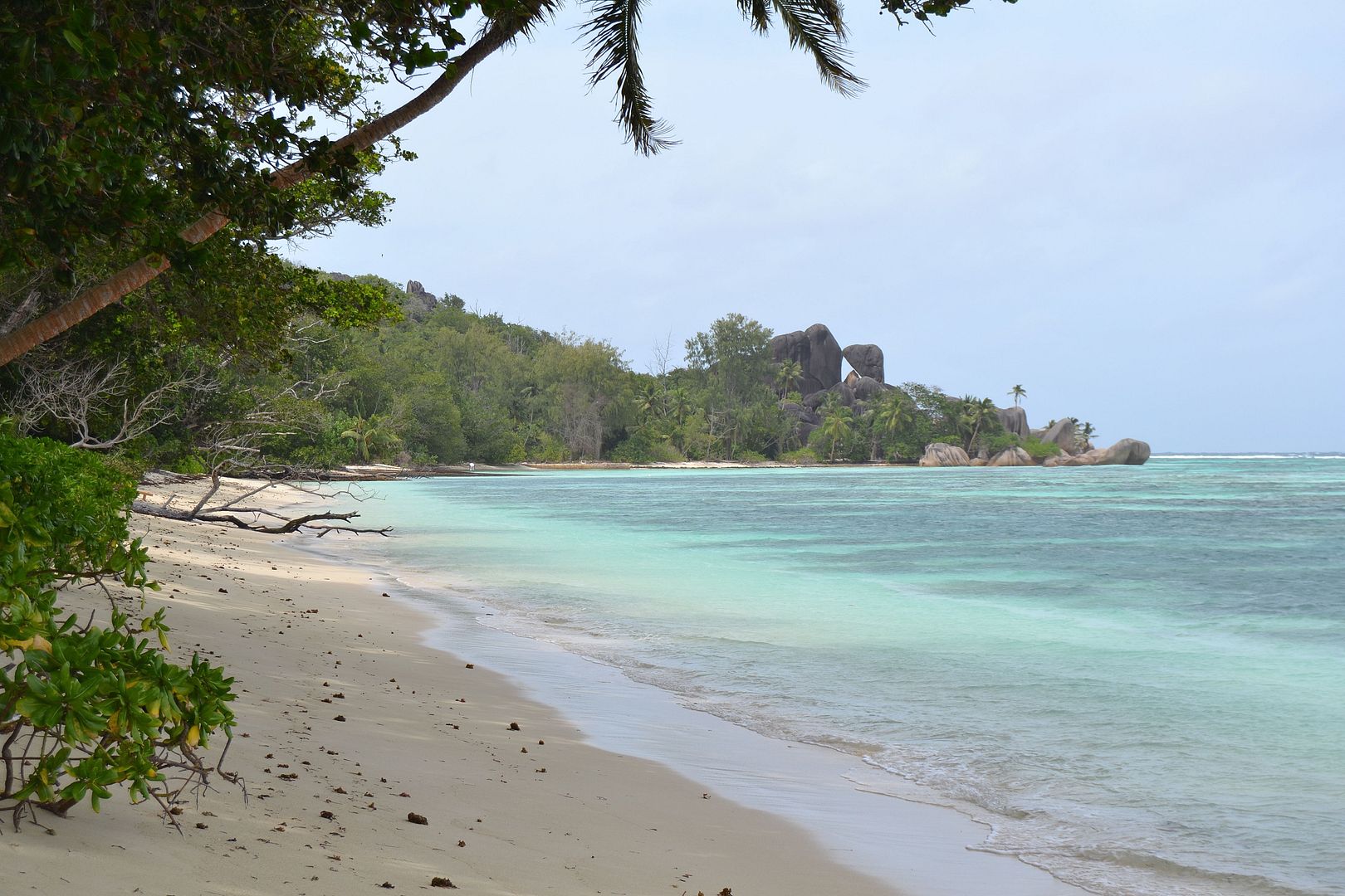 DSC_0559.jpg