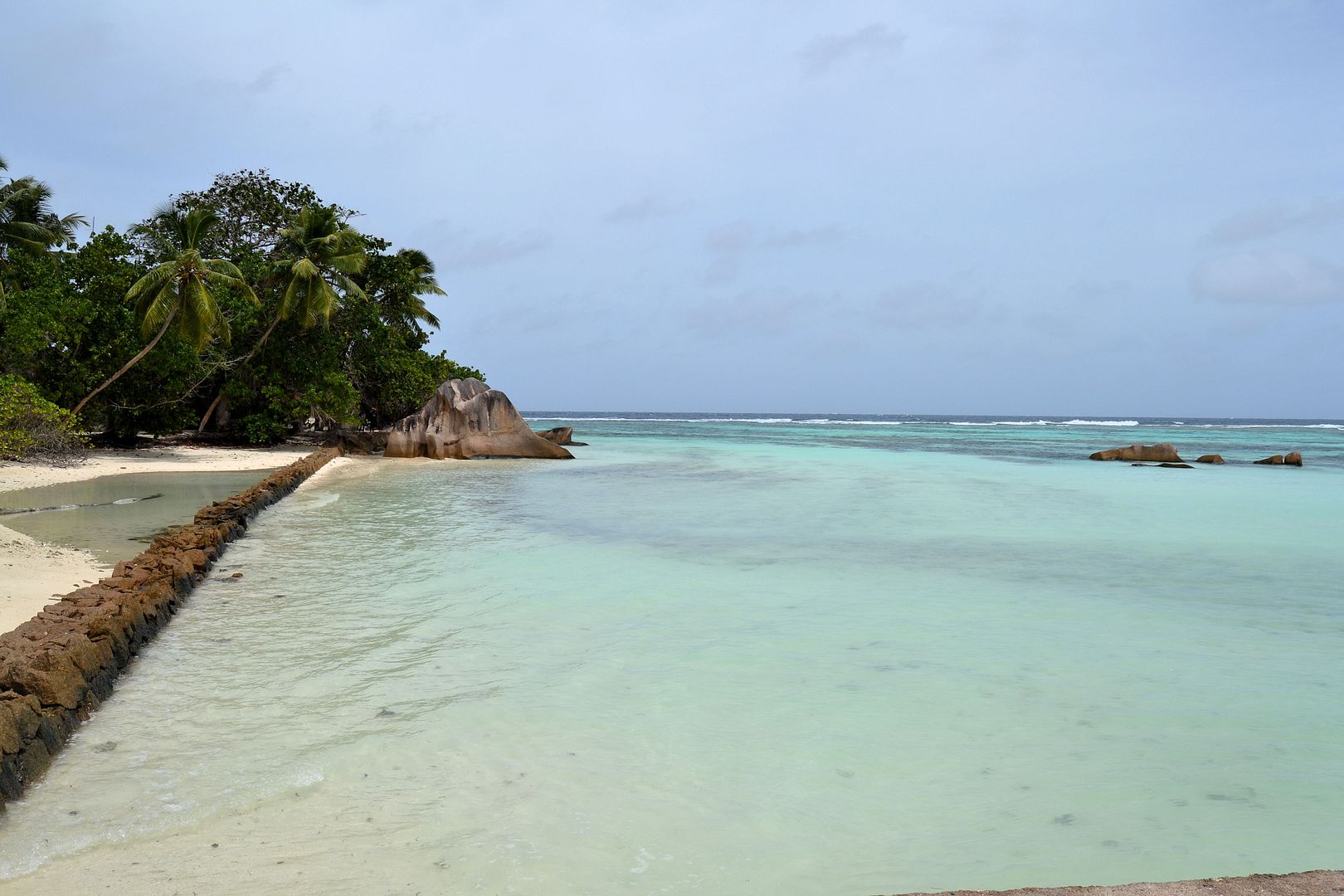 DSC_0565.jpg