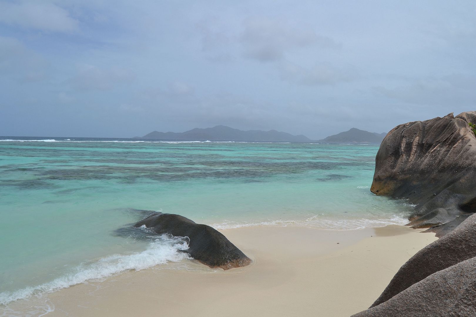 DSC_0572.jpg