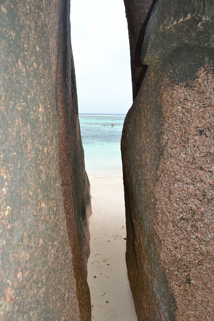 DSC_0575.jpg