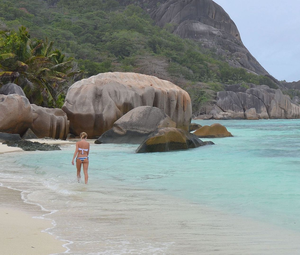 DSC_0577.jpg