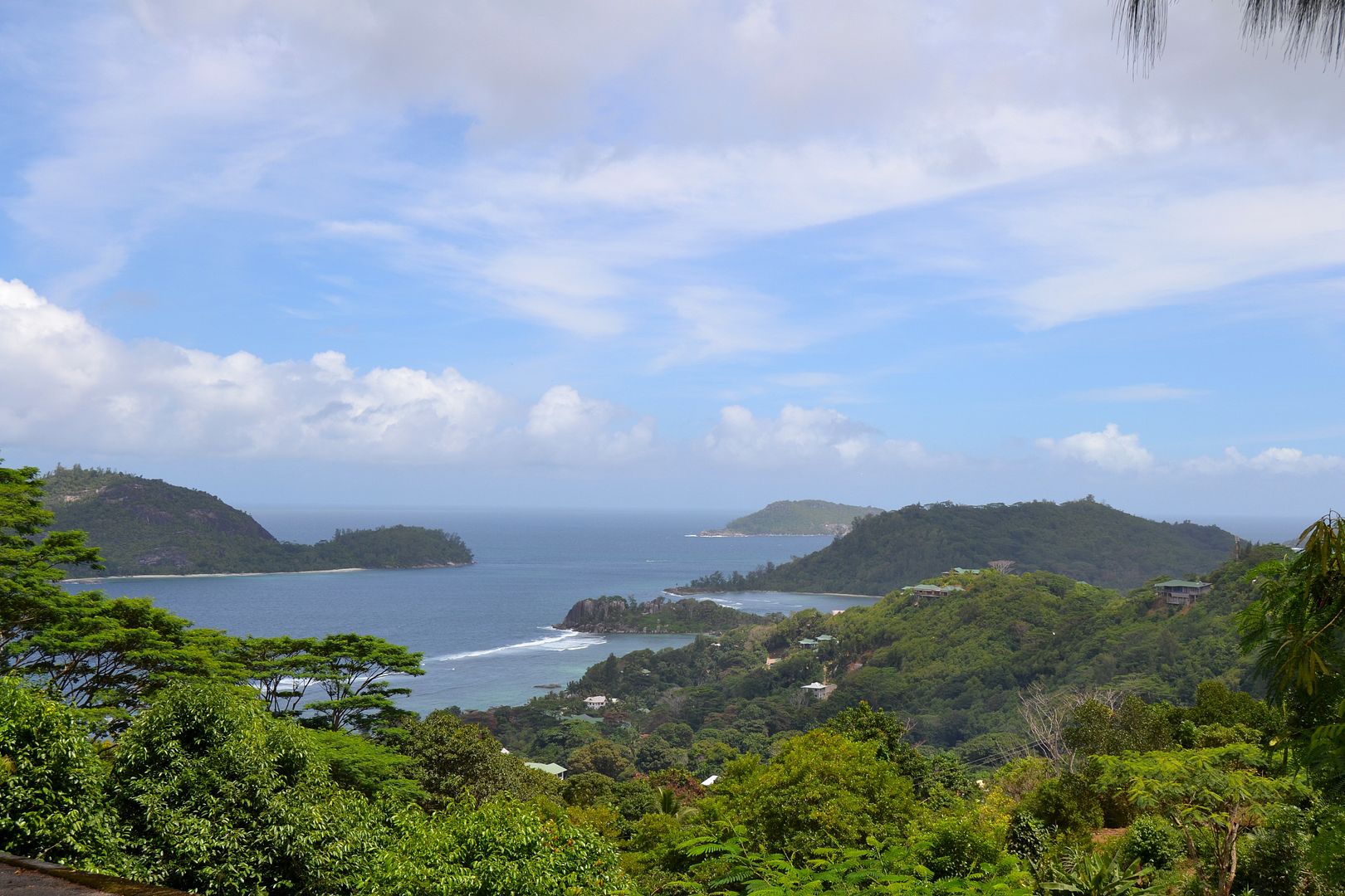 DSC_0705.jpg