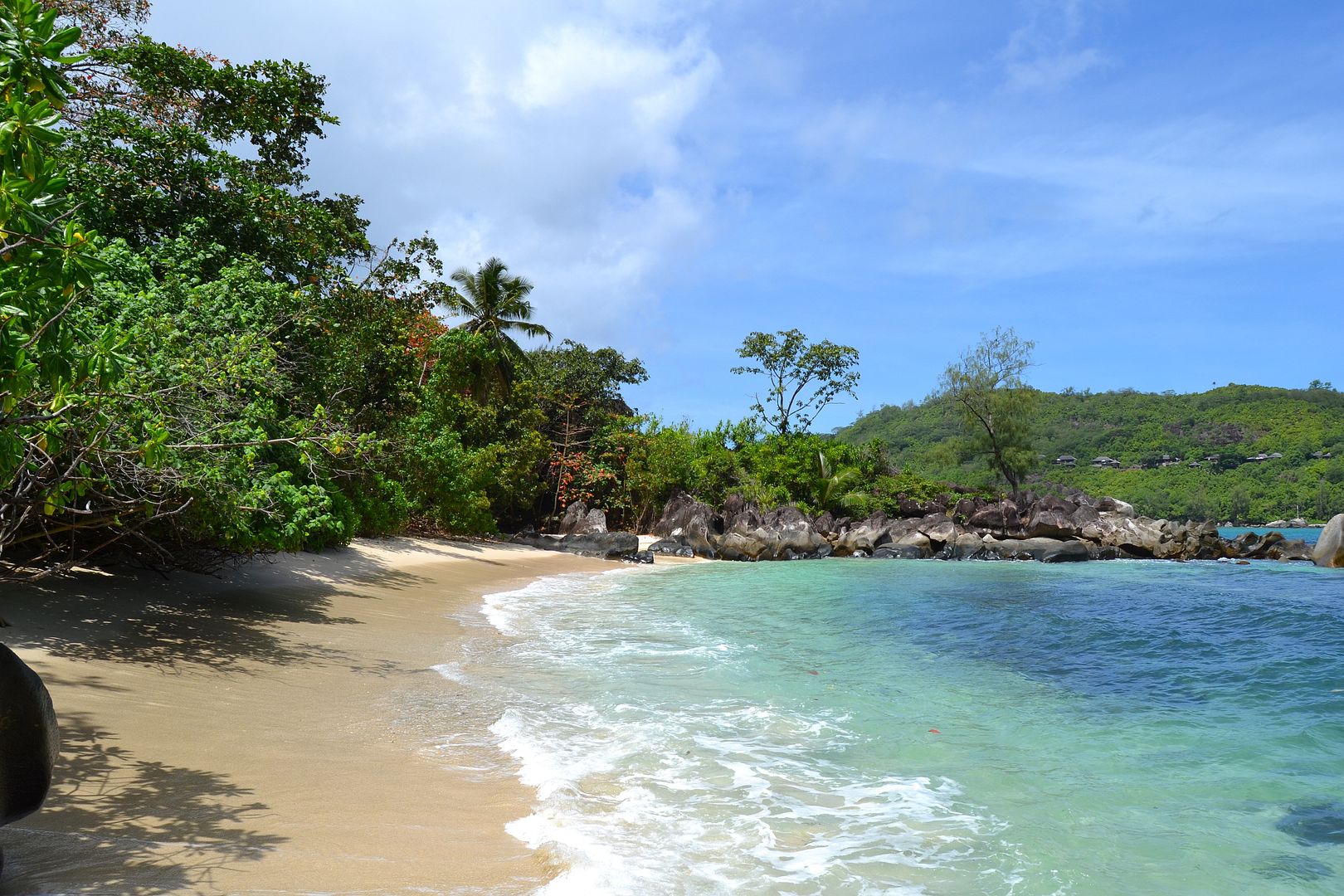 DSC_0709.jpg