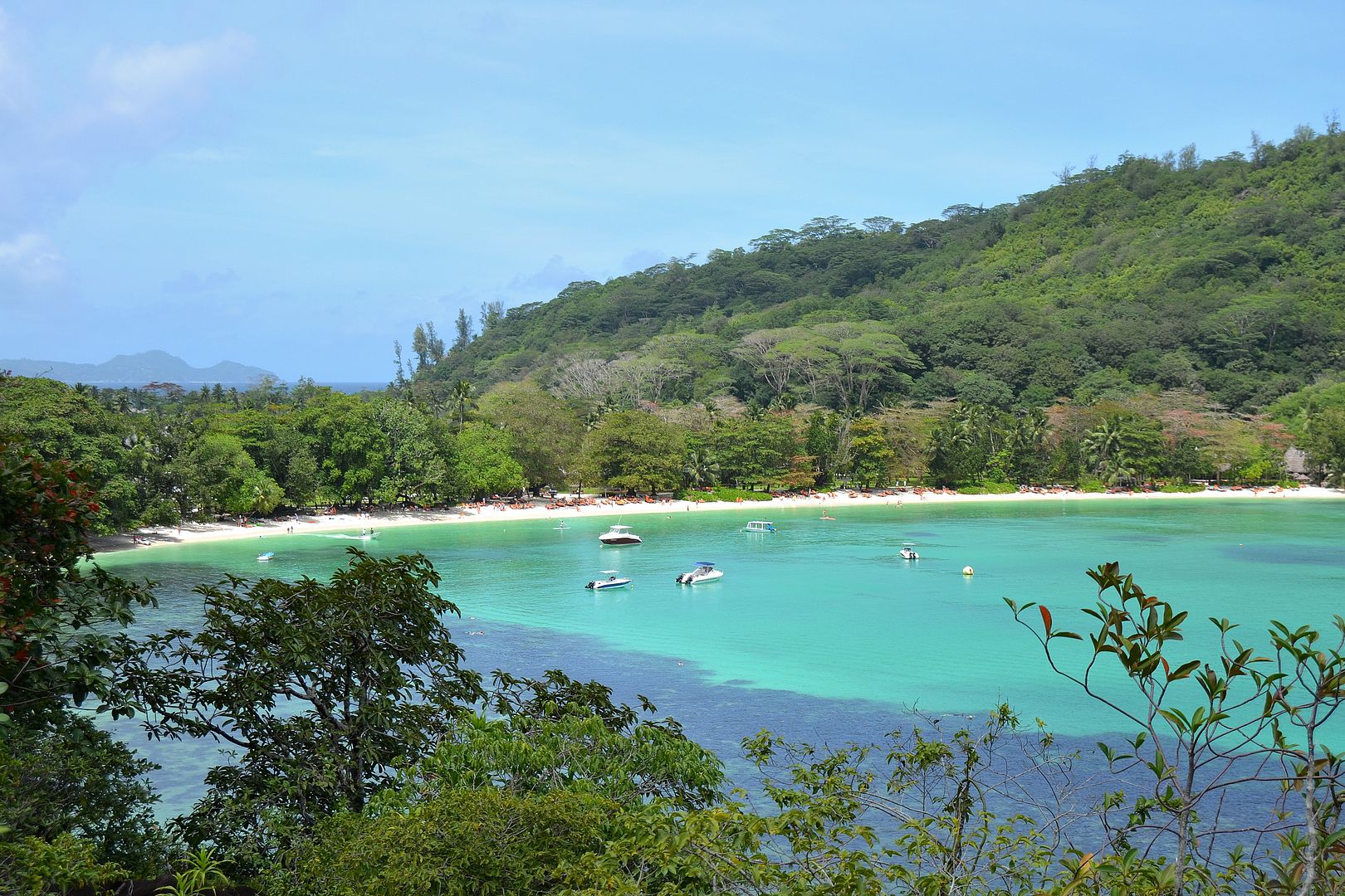 DSC_0712.jpg