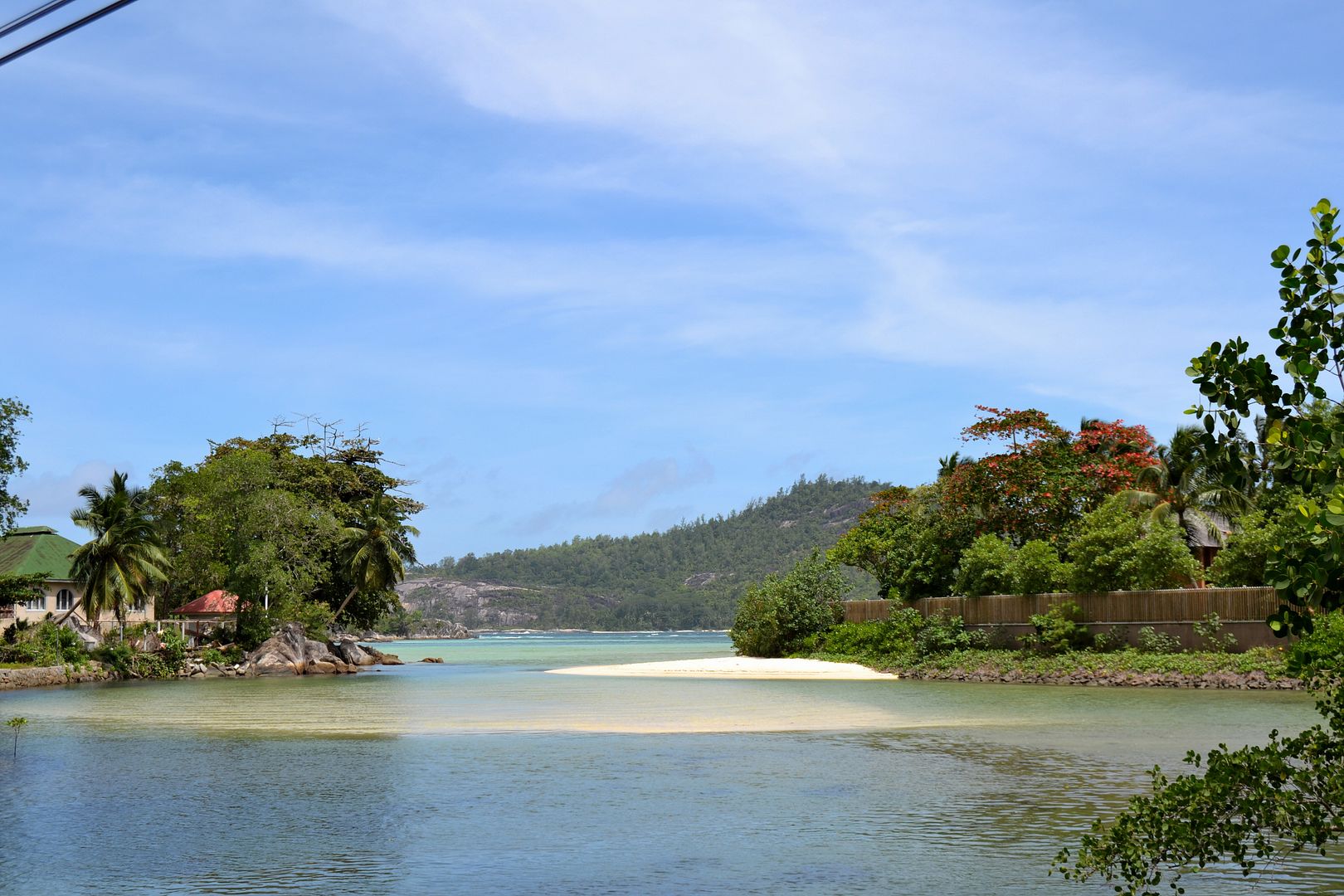 DSC_0715.jpg