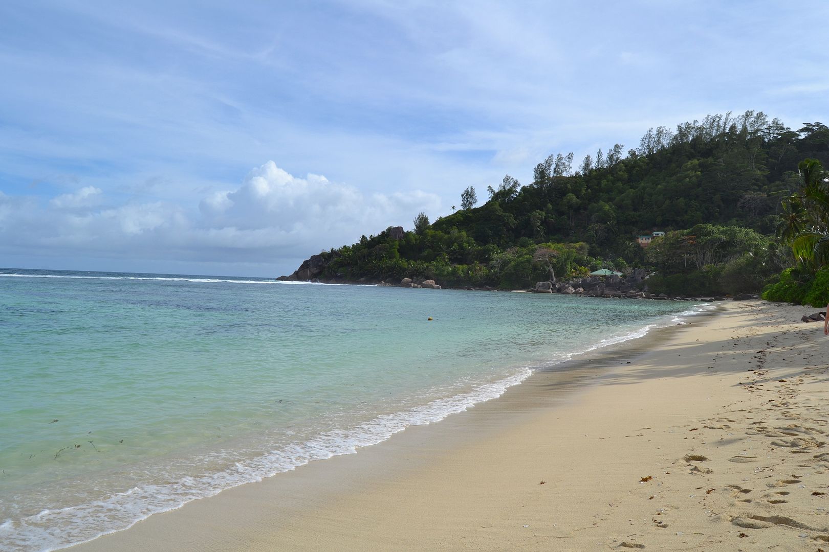 DSC_0717.jpg