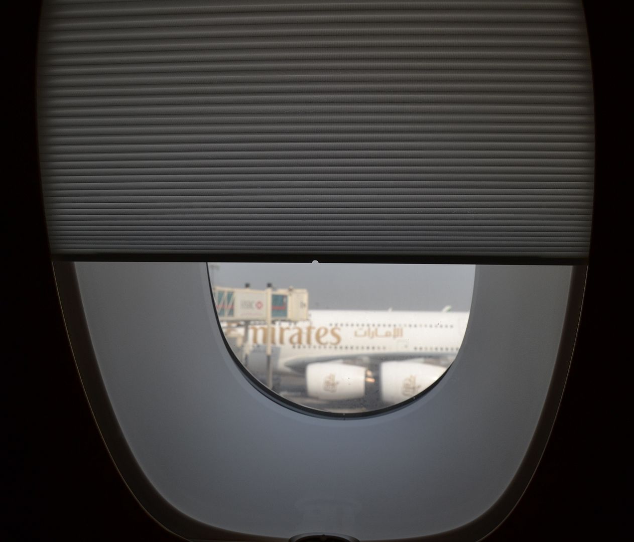 DSC_0796.jpg
