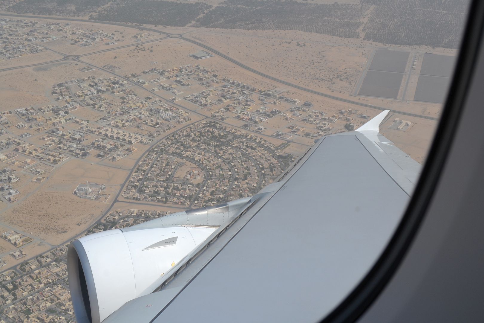 DSC_0843.jpg