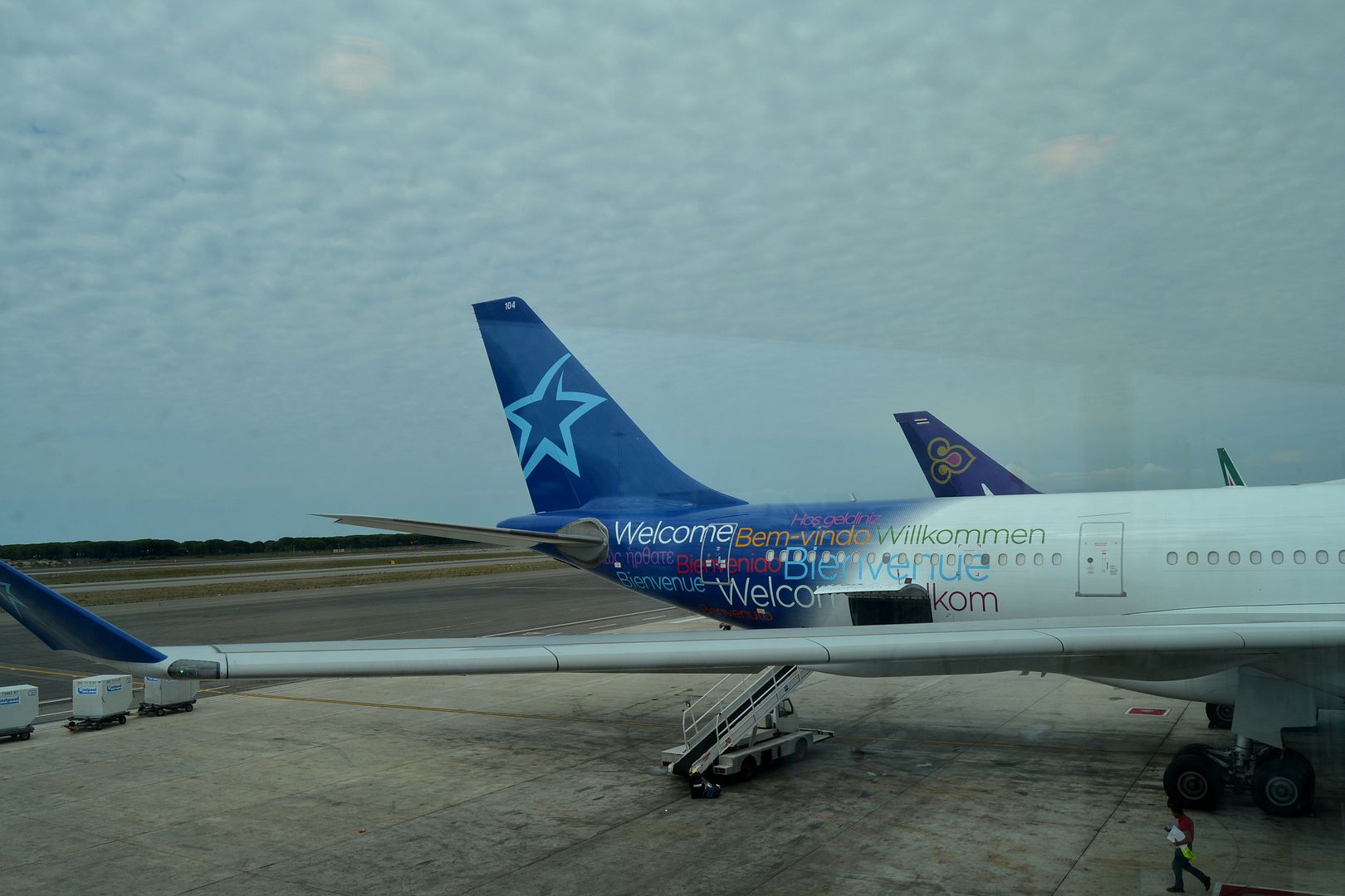 DSC_0897A.jpg