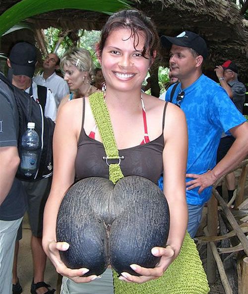 coco1-1.jpg
