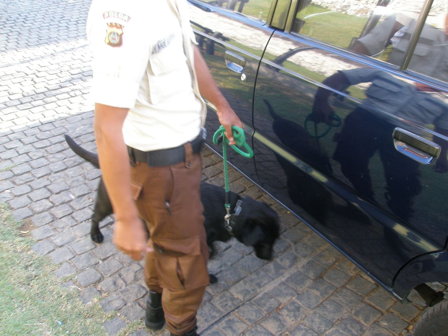 1142.jpg