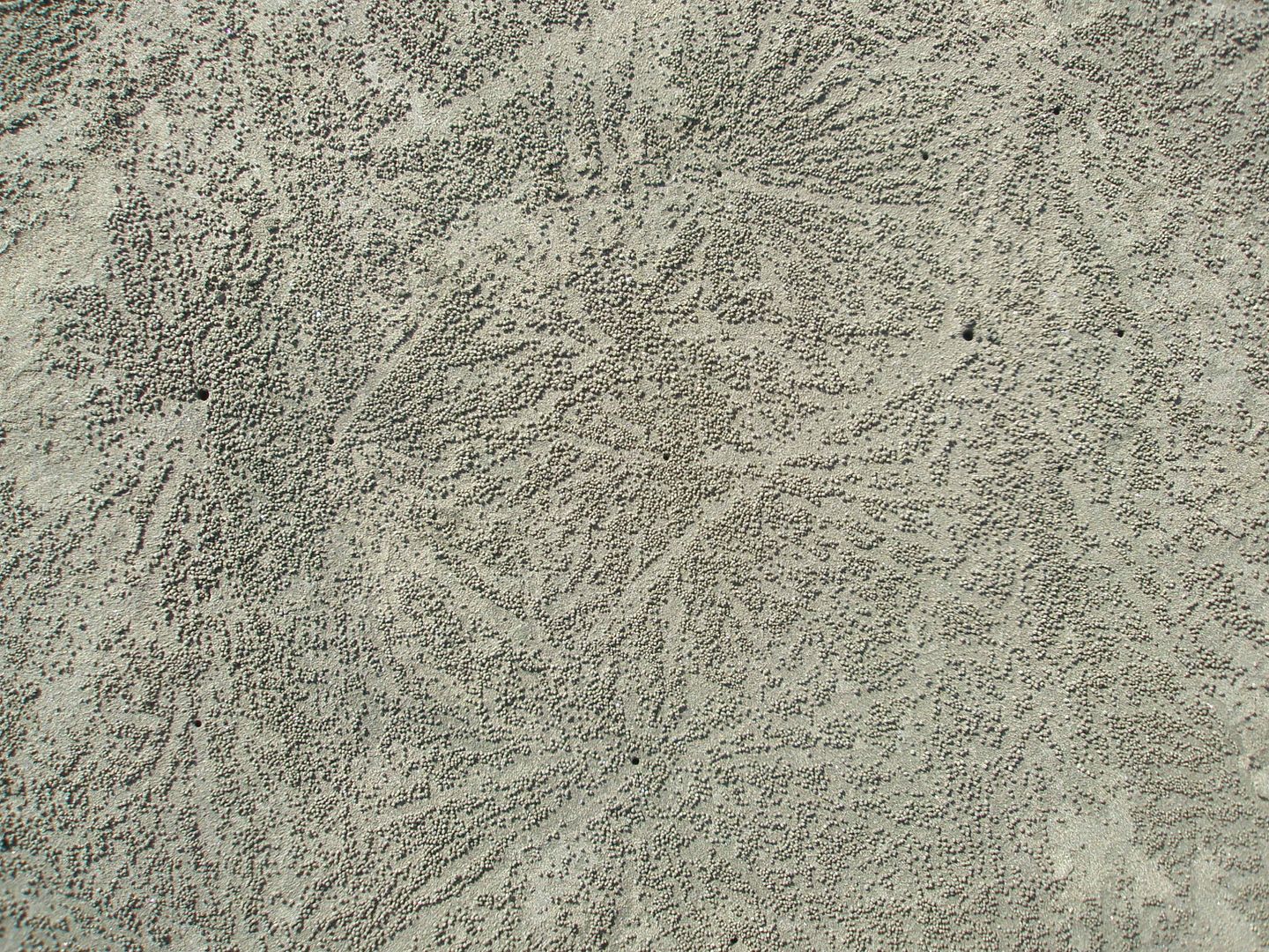 1186.jpg