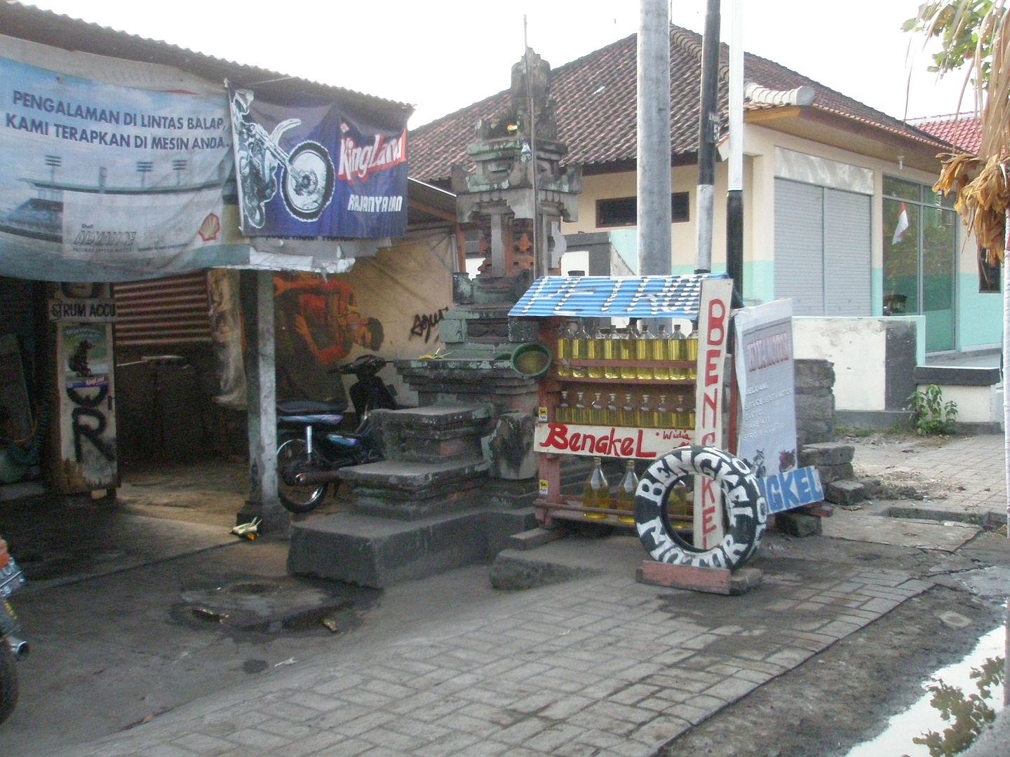 1198.jpg
