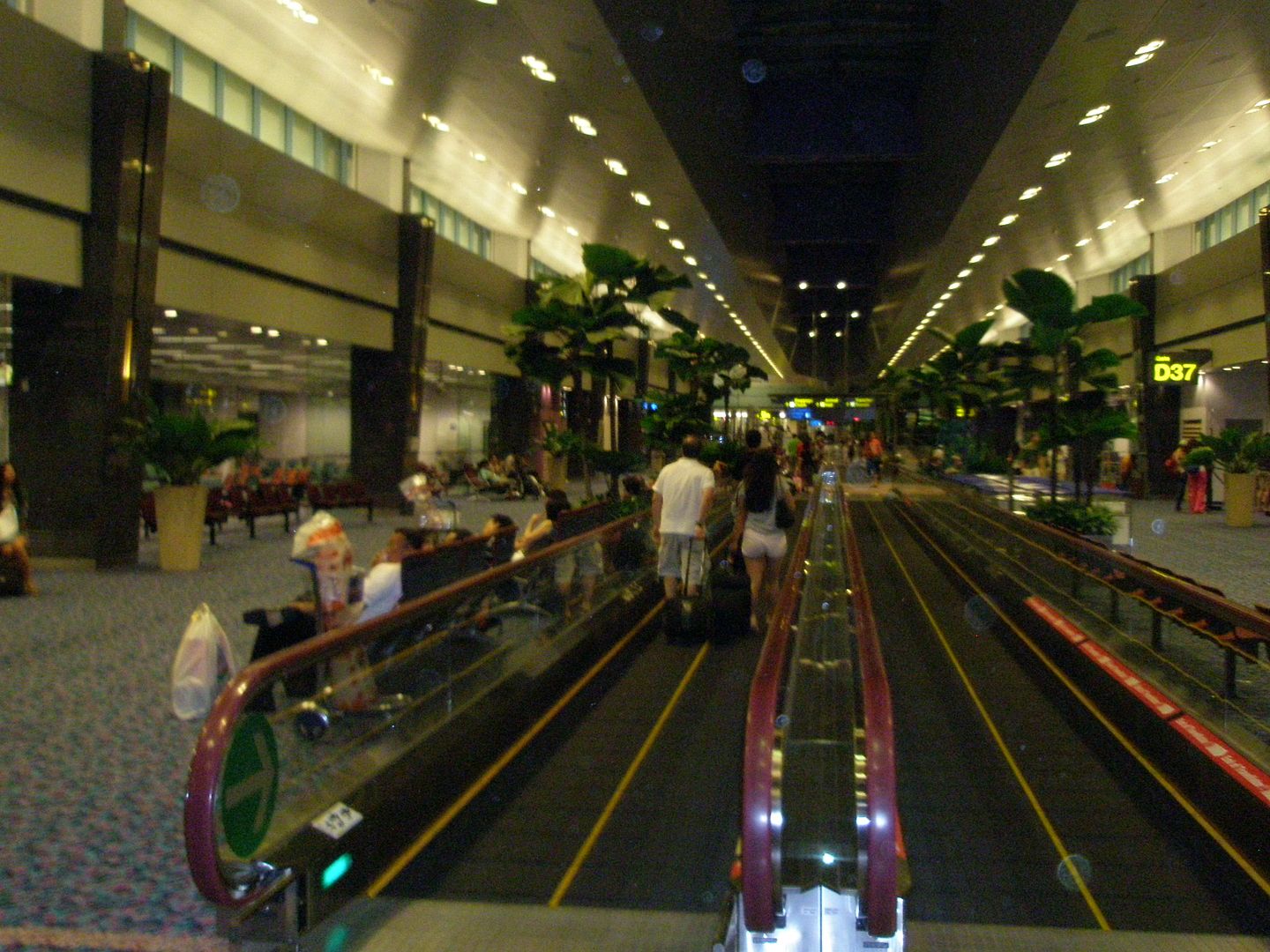 1231.jpg