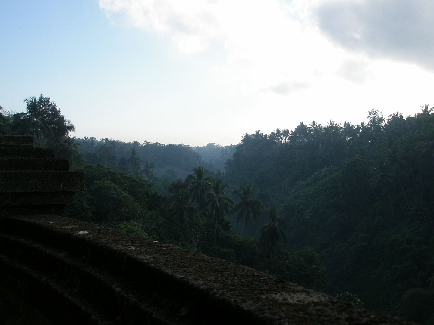 171.jpg