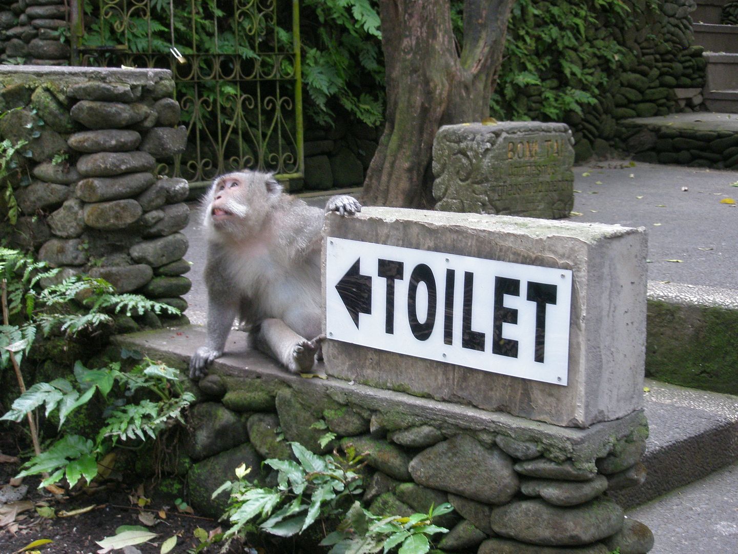 179.jpg