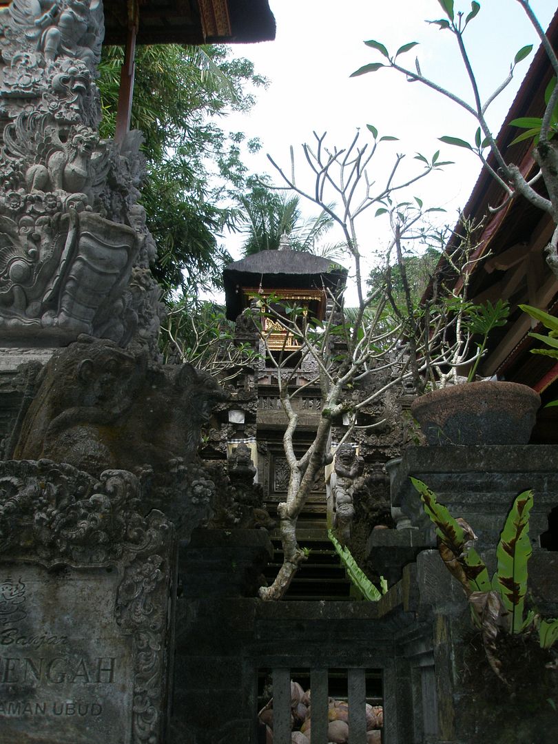 197.jpg