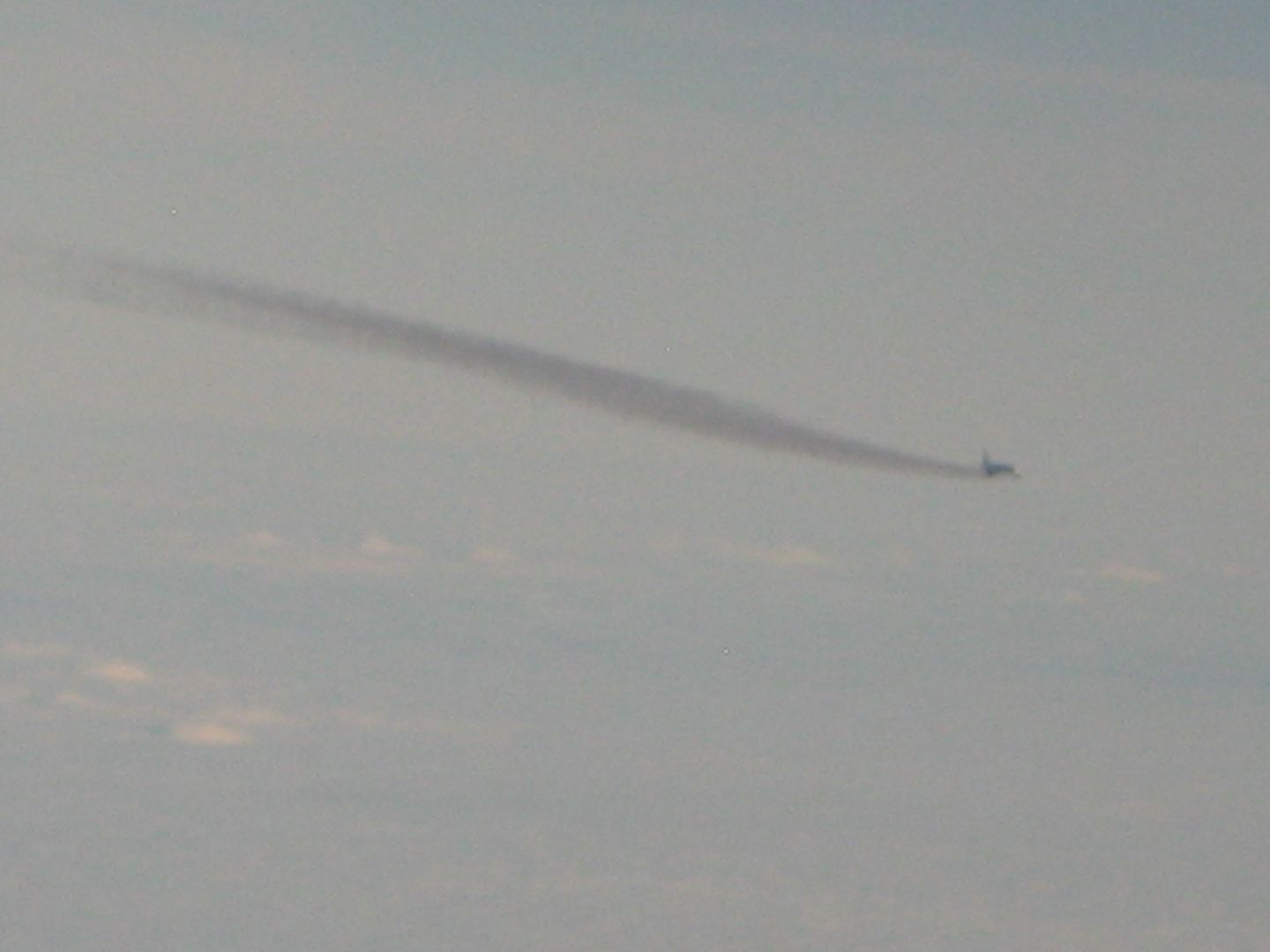 IMG_1235.jpg