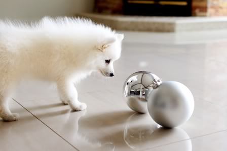 Silver balls Pictures, Images and Photos
