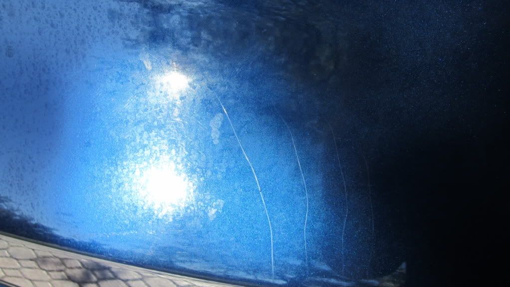 085.jpg