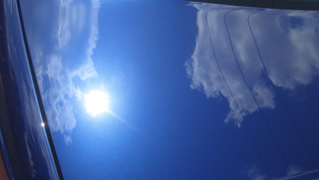 IMG_1019.jpg