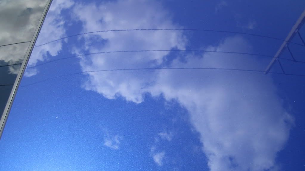 IMG_1029.jpg