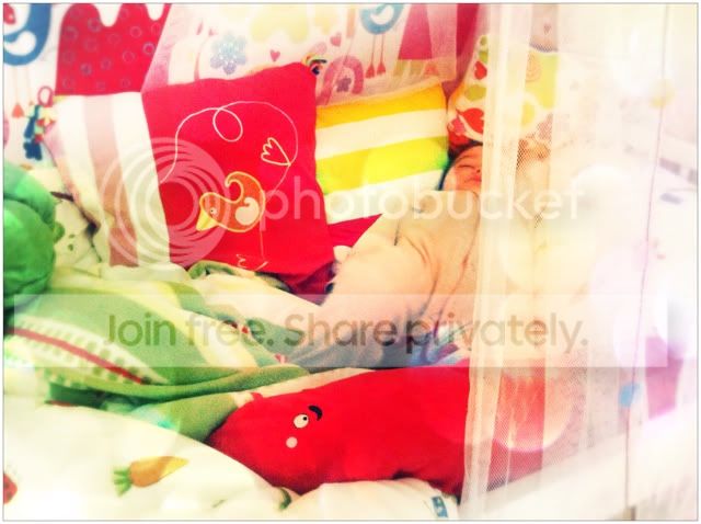 Photobucket Pictures, Images and Photos