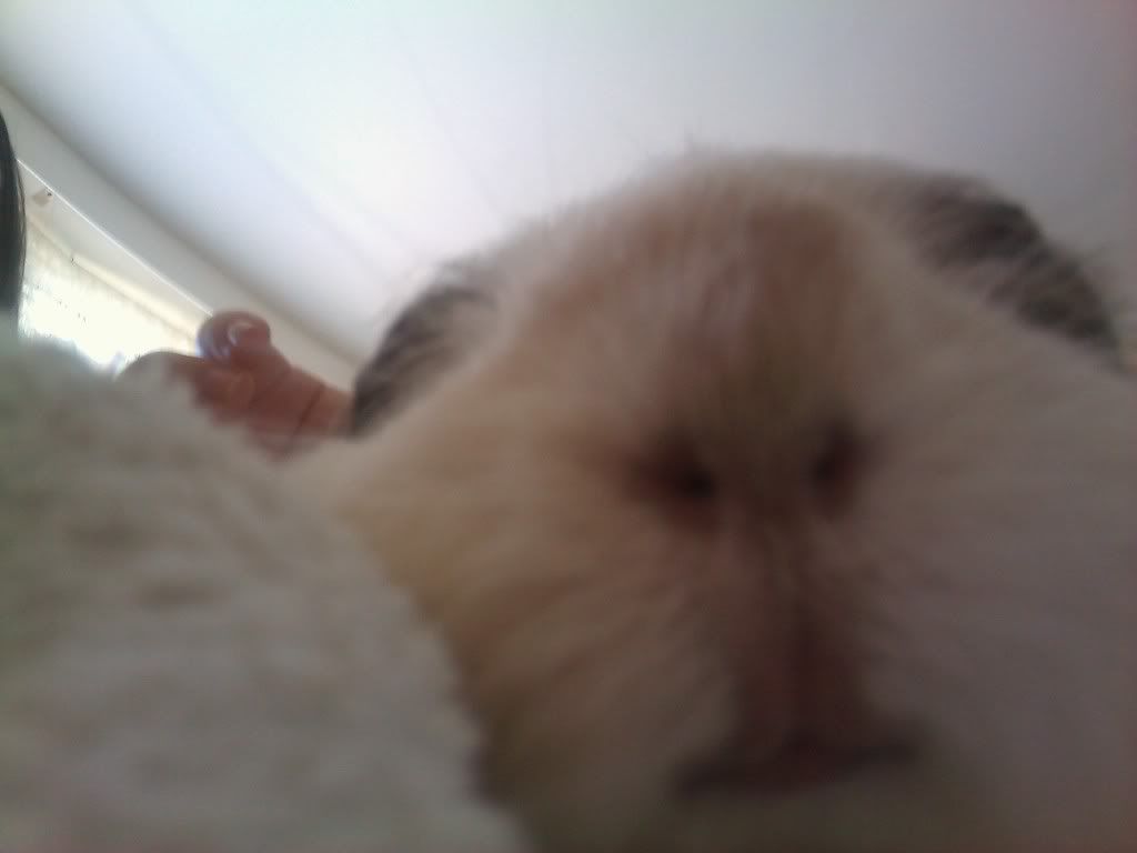 IMAG_0089-1.jpg