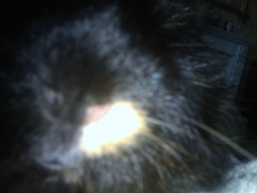 IMAG_0092-1.jpg