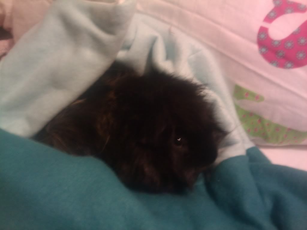 IMAG_0108.jpg
