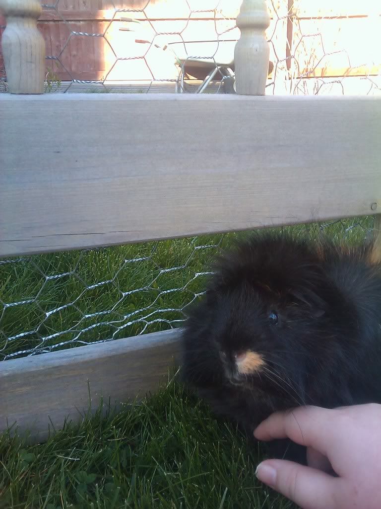 IMAG_0206.jpg