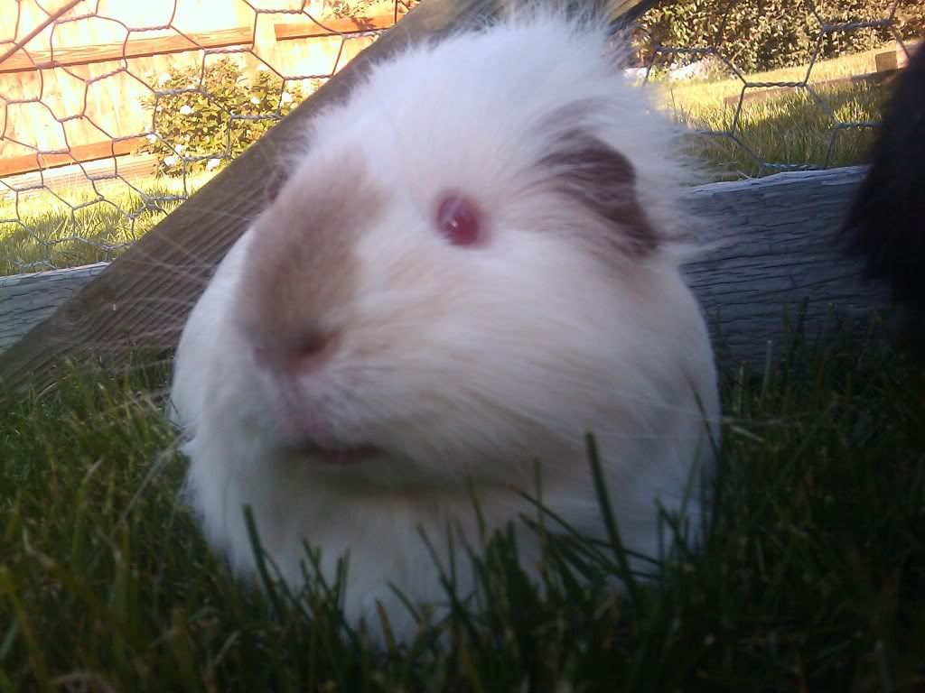 IMAG_0209.jpg