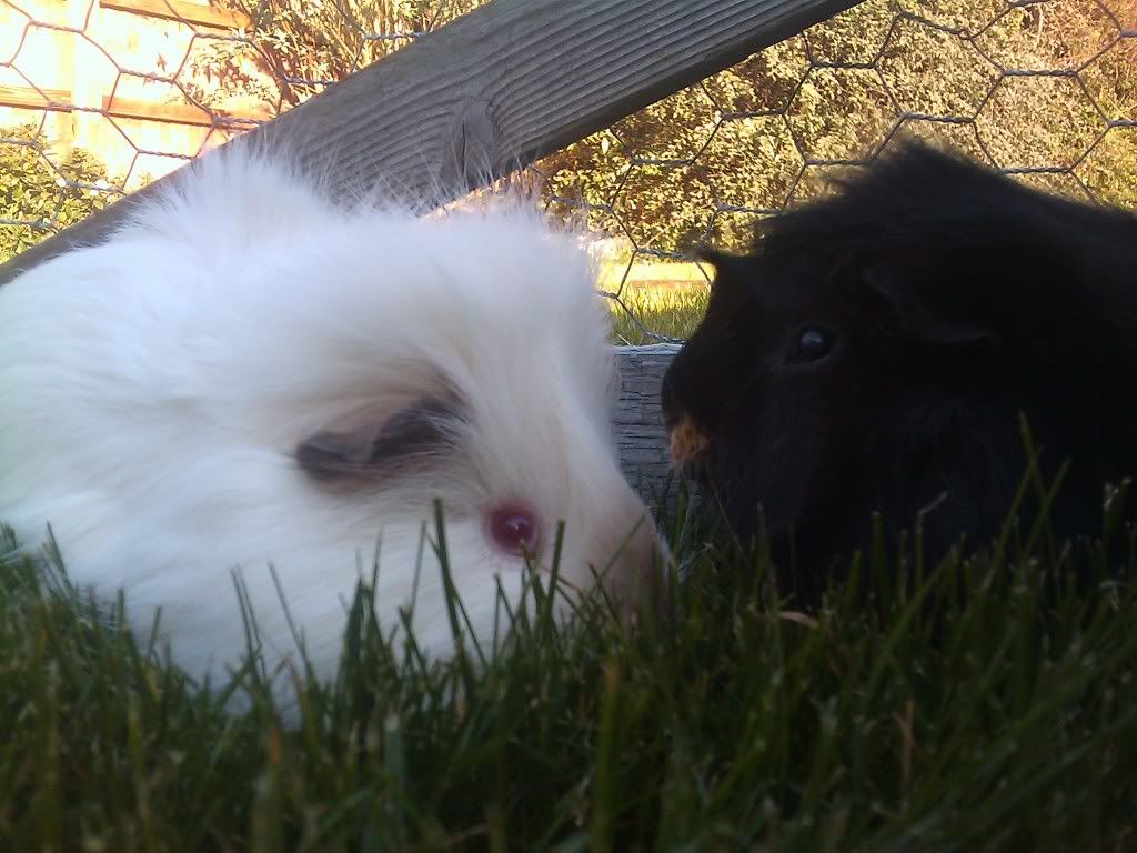 IMAG_0211.jpg