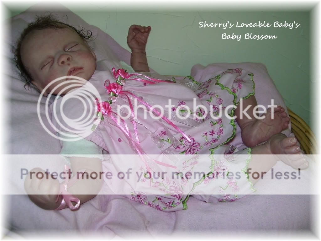 Reborn Sleeping Baby Girl Blossom J Lynn Precious Little Girl