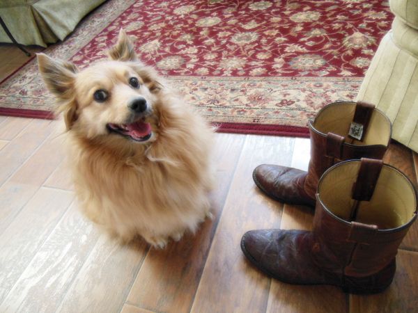 photo boots600.jpg